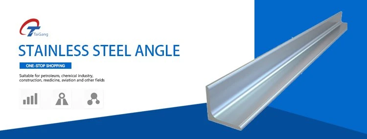 Hot Rolled Ss 304 316L 321316L 309 310S 317 347 409 Stainless Steel Angle
