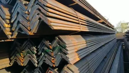 304 316L Steel Profile Stainless Steel Angle 