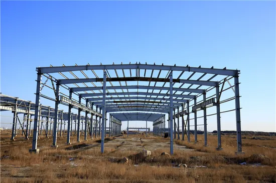 High Quality Carbon Structural Steel Stainless/Galvanized/Carbon Steel Profiles I Beam H Beam for Building Material 